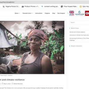 tearsheet13